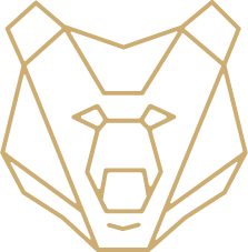 Dit is een niet bestaande pagina